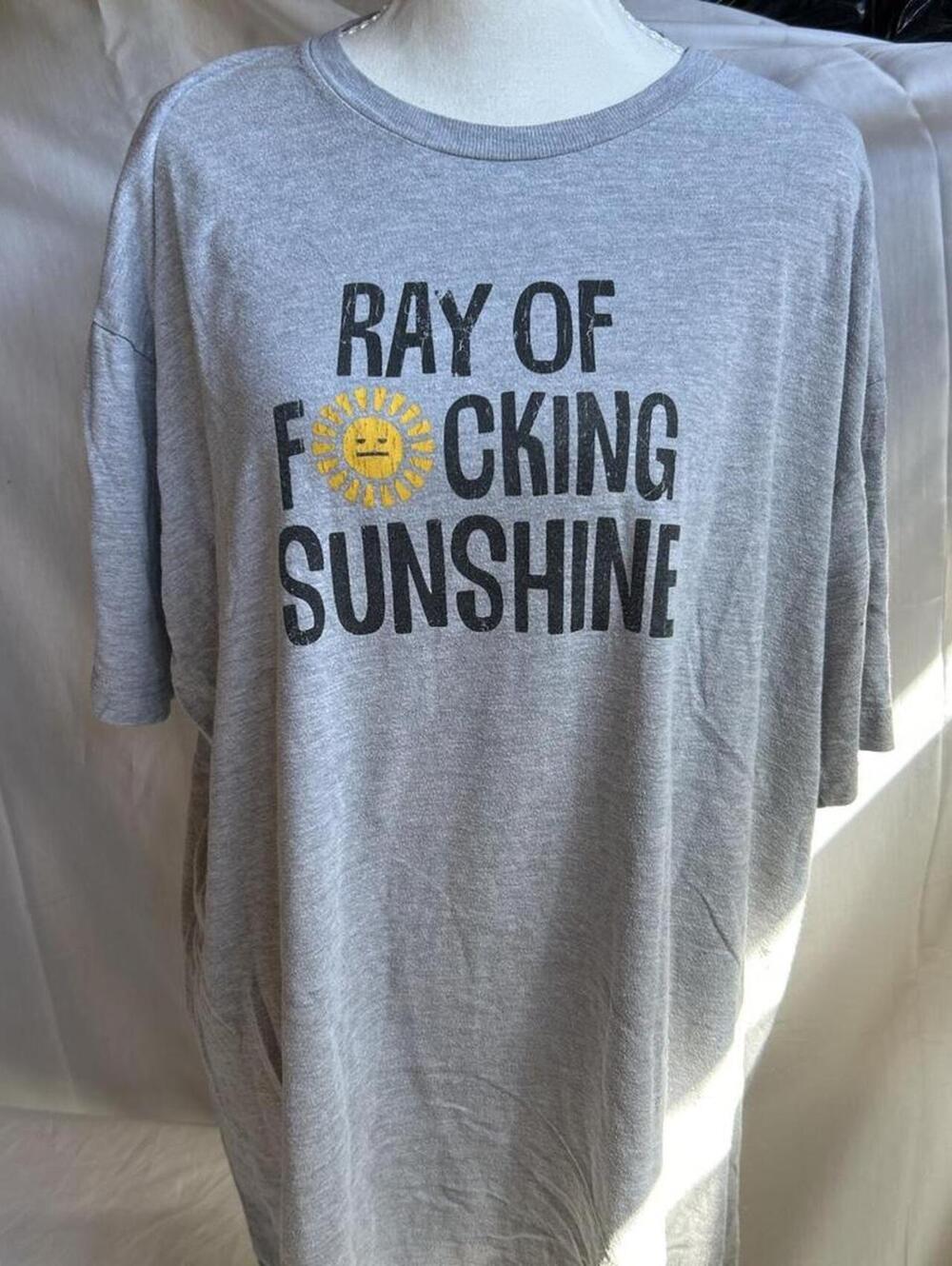 Adult Unisex "Ray of Effing Sunshine" Graphic Tee, Grey, Size XXL